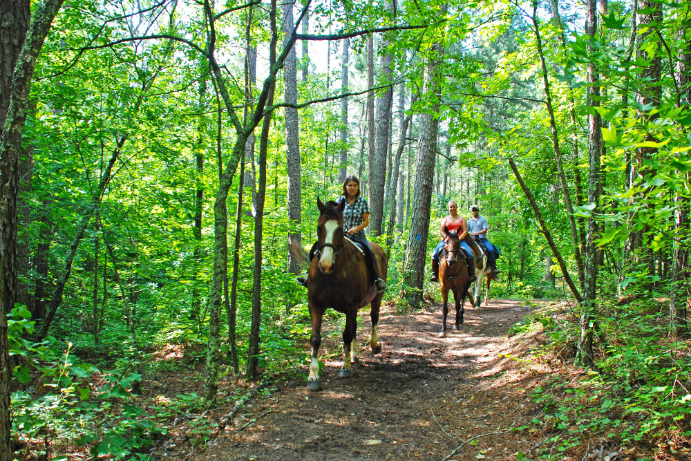 Georgia_Hard_Labor_Creek_horse_trail.jpg