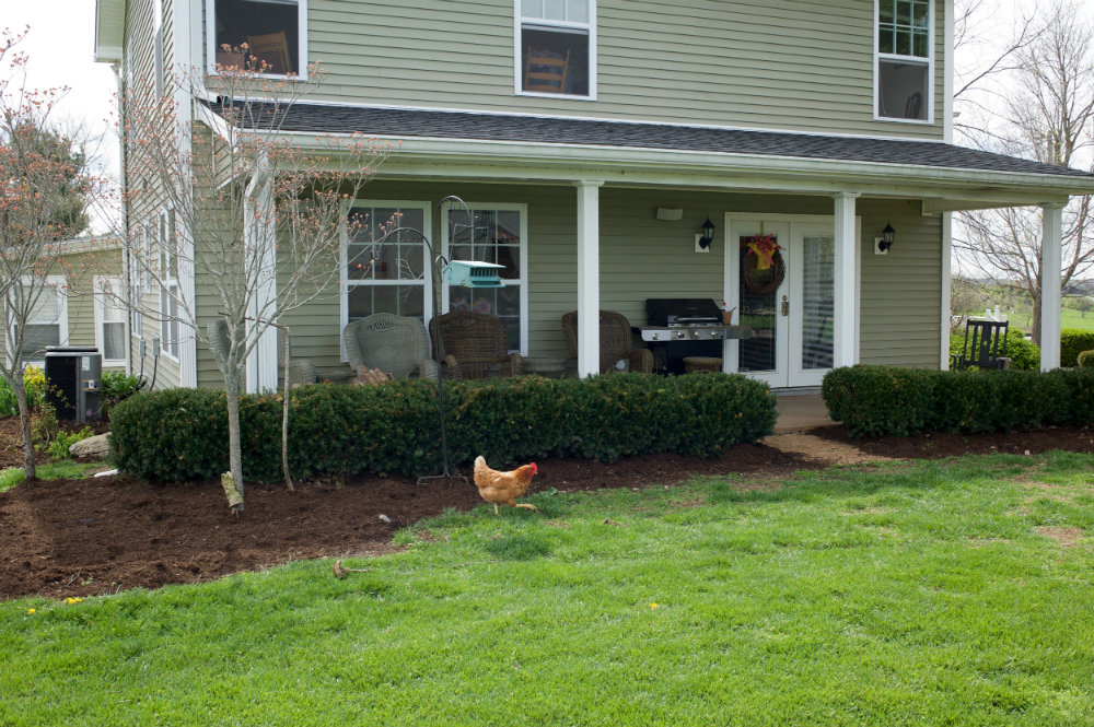 The_Farm_Chicken_Danville_Kentucky_Rethink_Rural.jpg