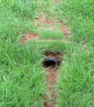 yard drainage