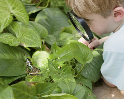 home-schooling is a real life classroom