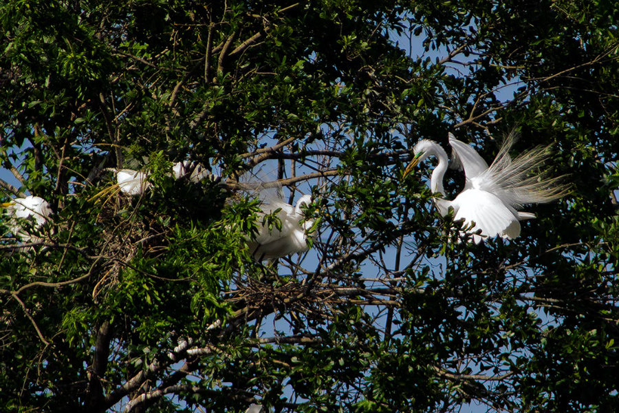 James D. Martin Wildlife Park