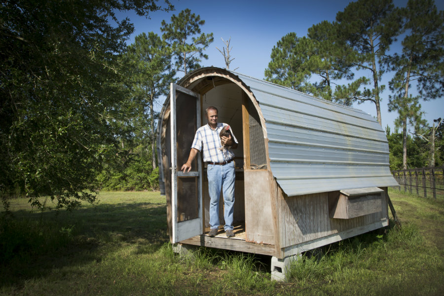 chicken coop shaped like a chuck wagon