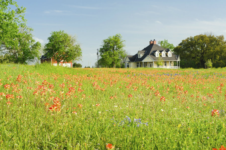 Use natural shade from trees to keep homes cool