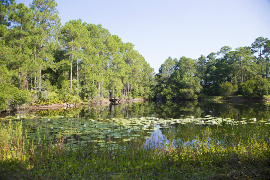 The pond was reshaped for fishing and canoeing