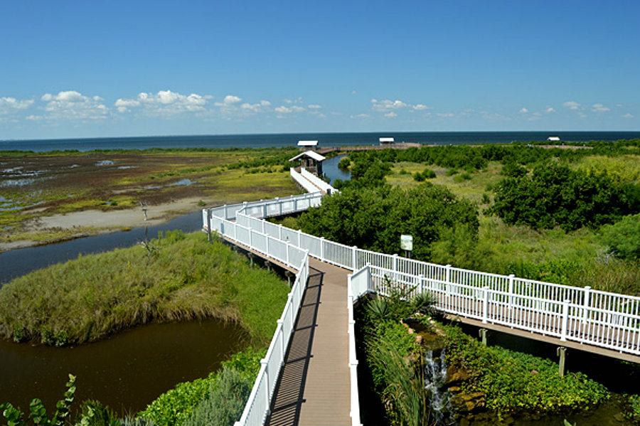 South Padre Island Bird Watching Boardwalk