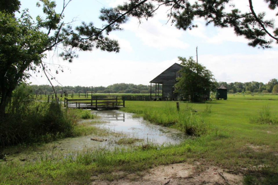 historic house to visit at the LSU Rural Life Museum