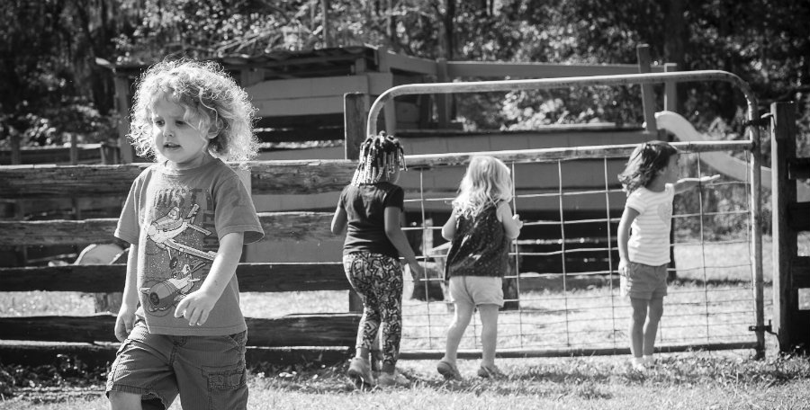 Kids at farm daycare in Jacksonville FL