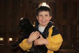 Riding with the goats at Bannerfield Farm