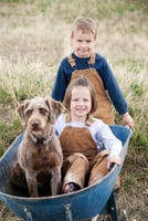 Childhood On A Farm