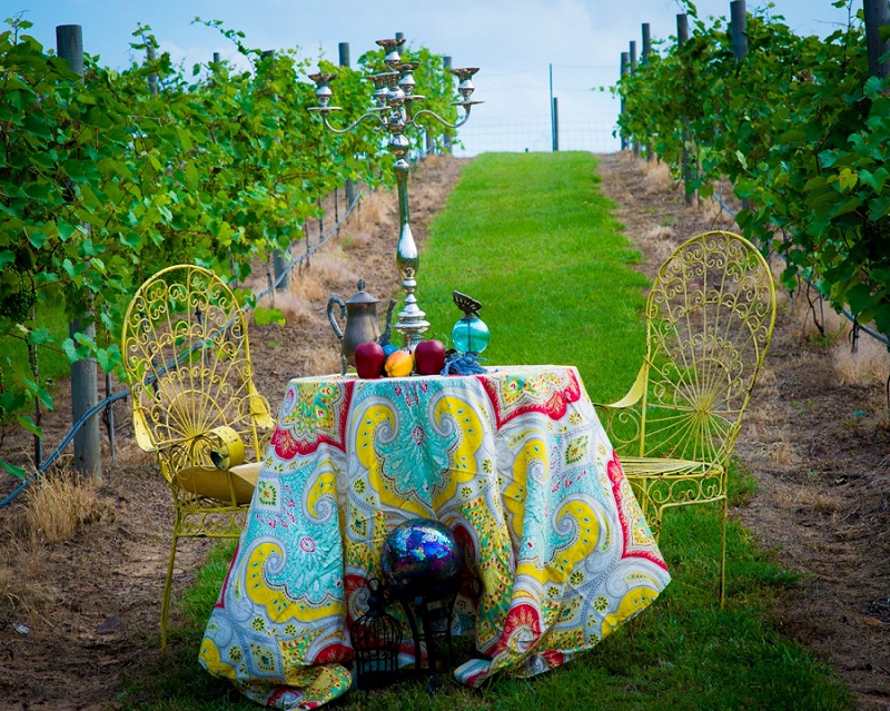 Sabor a Pasion Vineyard by Lee Loveless Photography