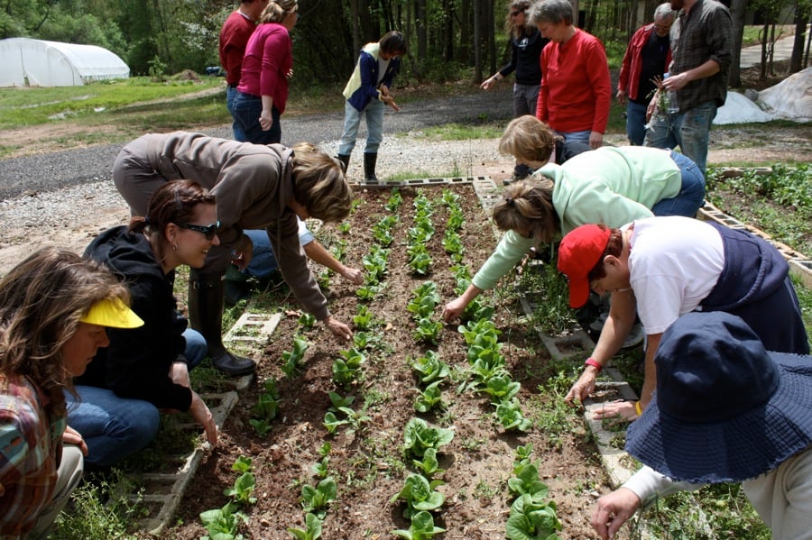 how to start a successful csa