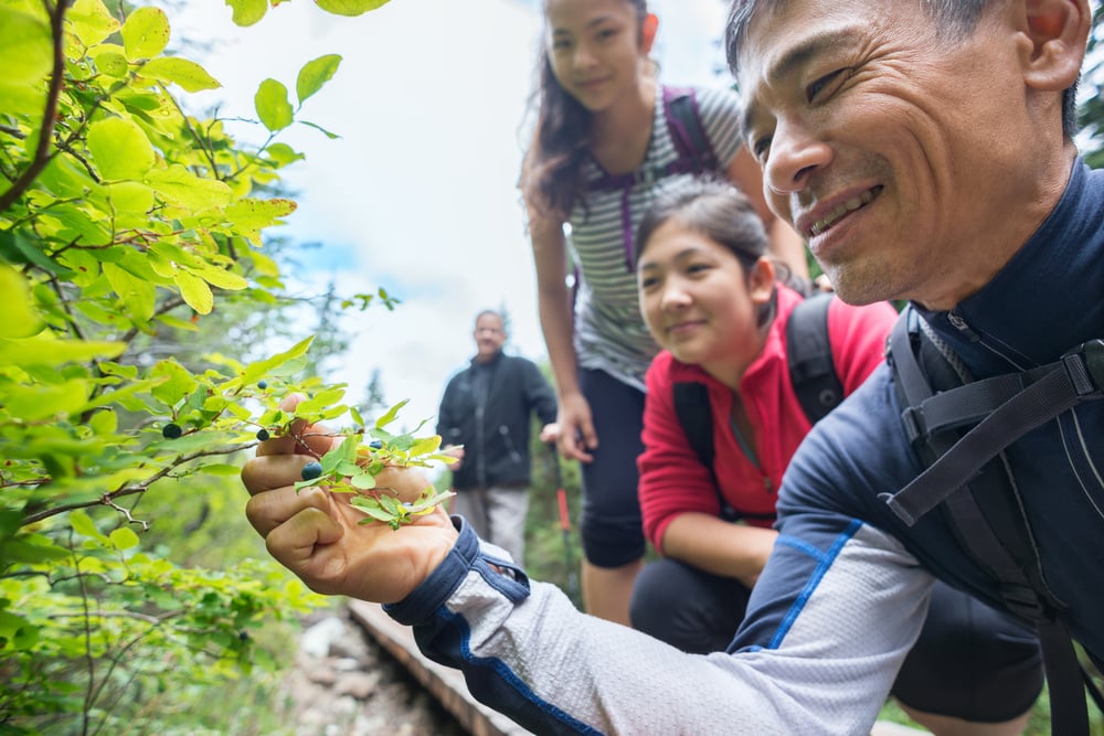 Foraging Beginners_Family