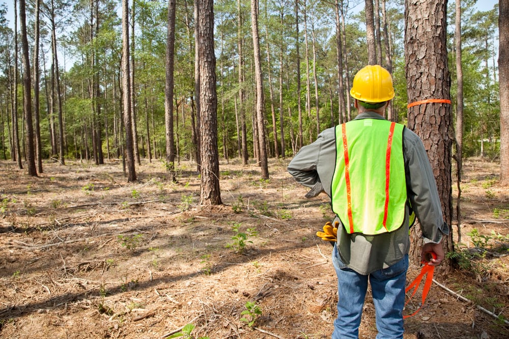 land clearing