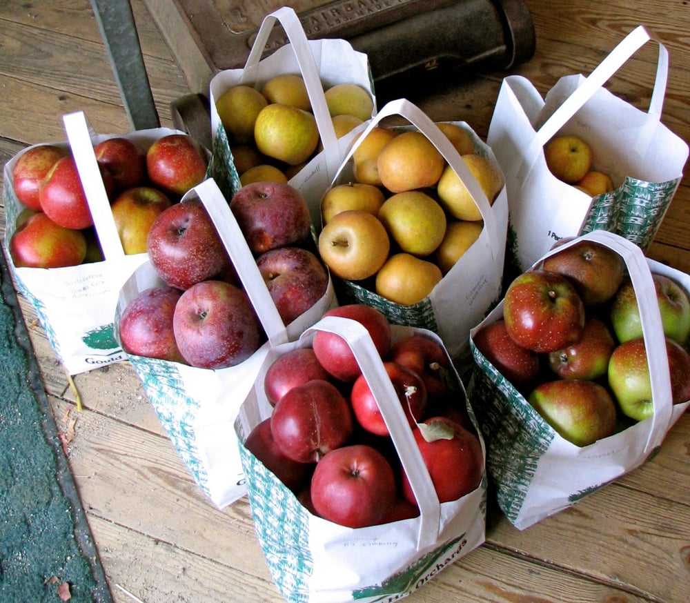 best apples for applesauce