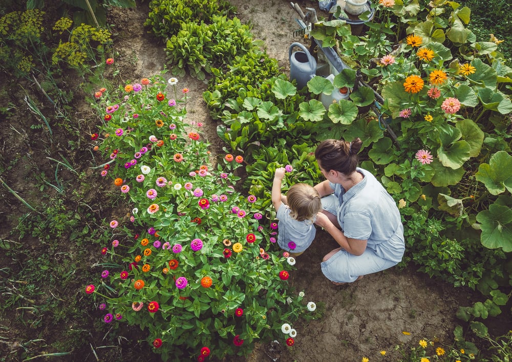 GettyImages-1007739448