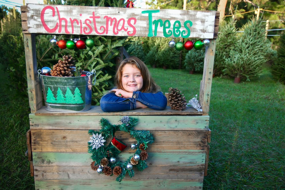 12 Christmas Tree Farms in the South