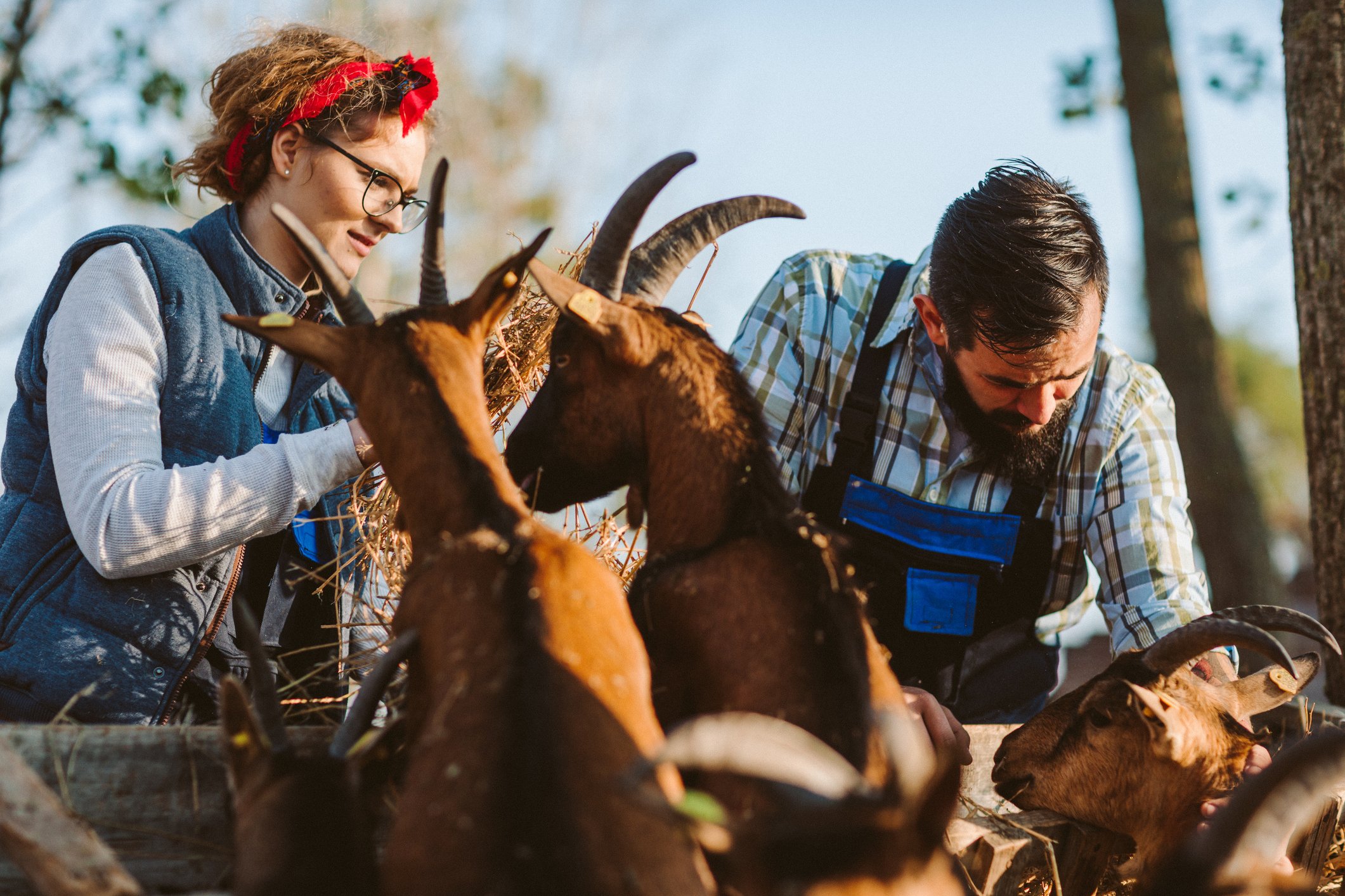 GettyImages-1134079662