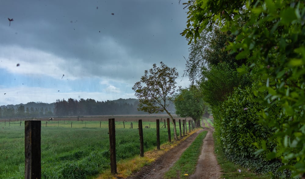 preparing a farm for a hurricane