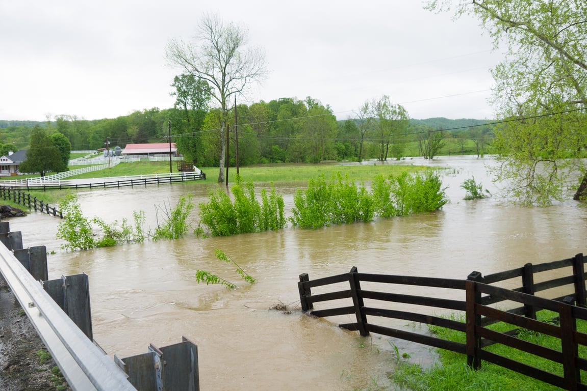 How to Prepare Your Farm or Homestead for a Hurricane