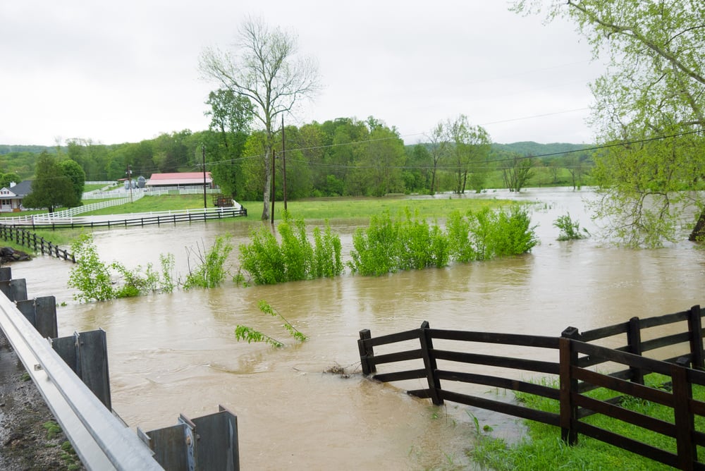 preparing a farm for a hurricane