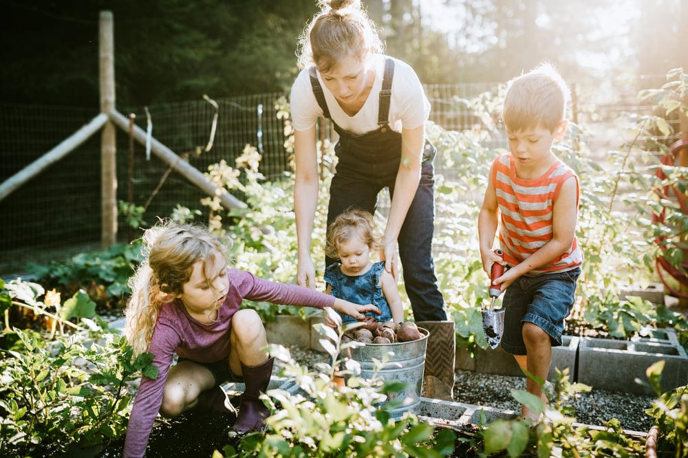 Homeschooling and homesteading