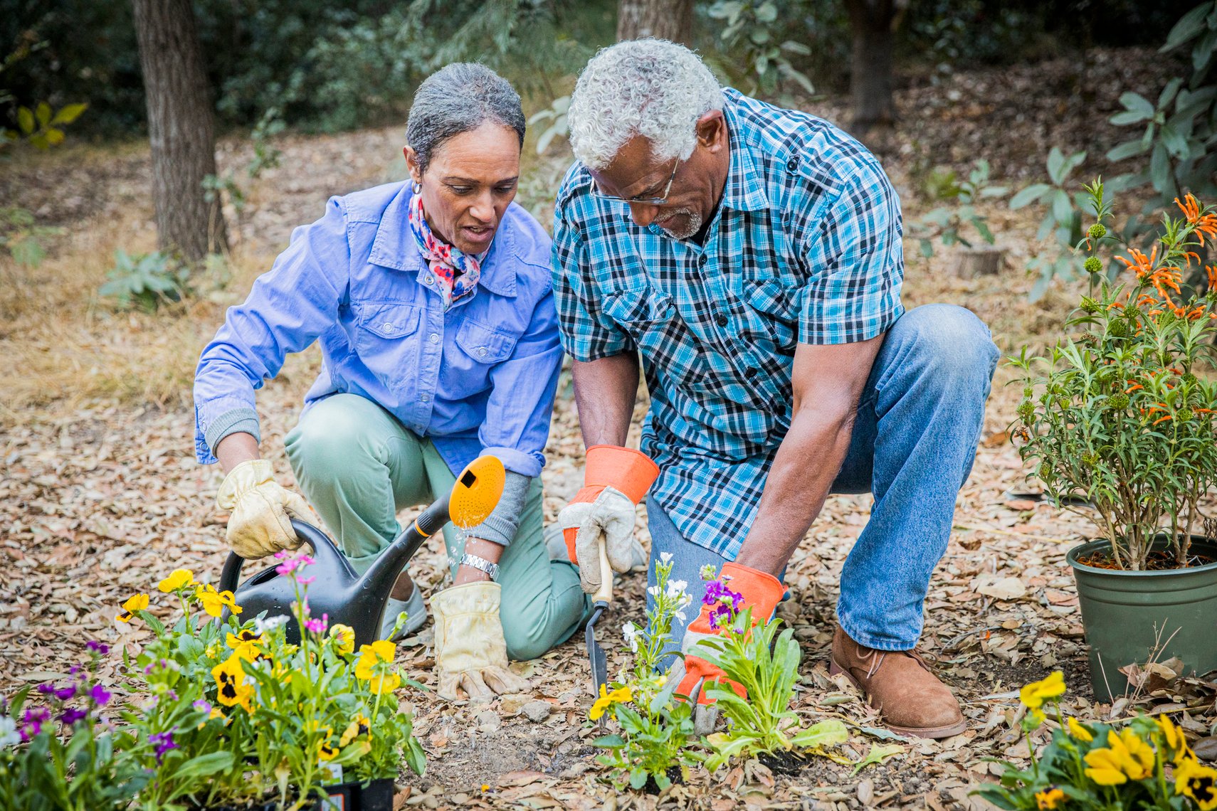 7 Health Benefits Of Outdoor Activities For Seniors