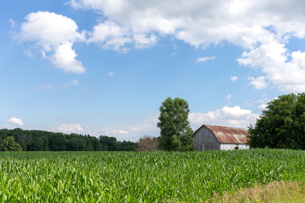 how to get started moving to the country