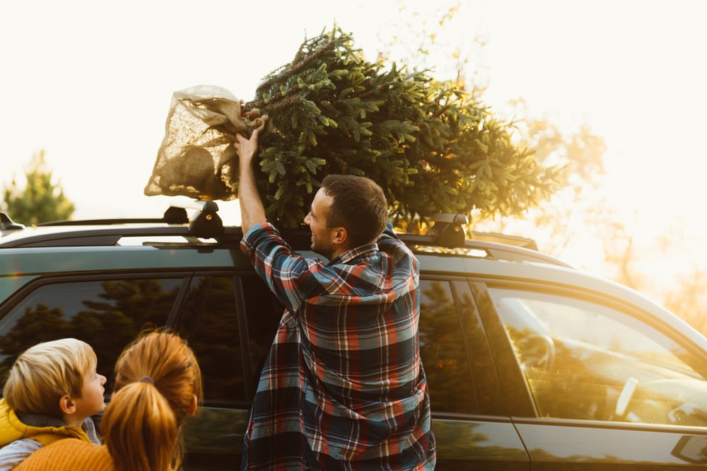 Christmas Tree Farms near me