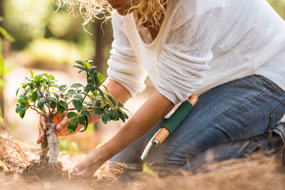 GettyImages-1217320343_Tree Planting