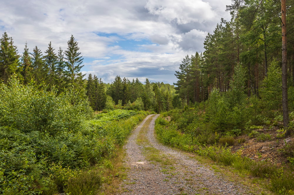 GettyImages-1313698996_Gravel Road