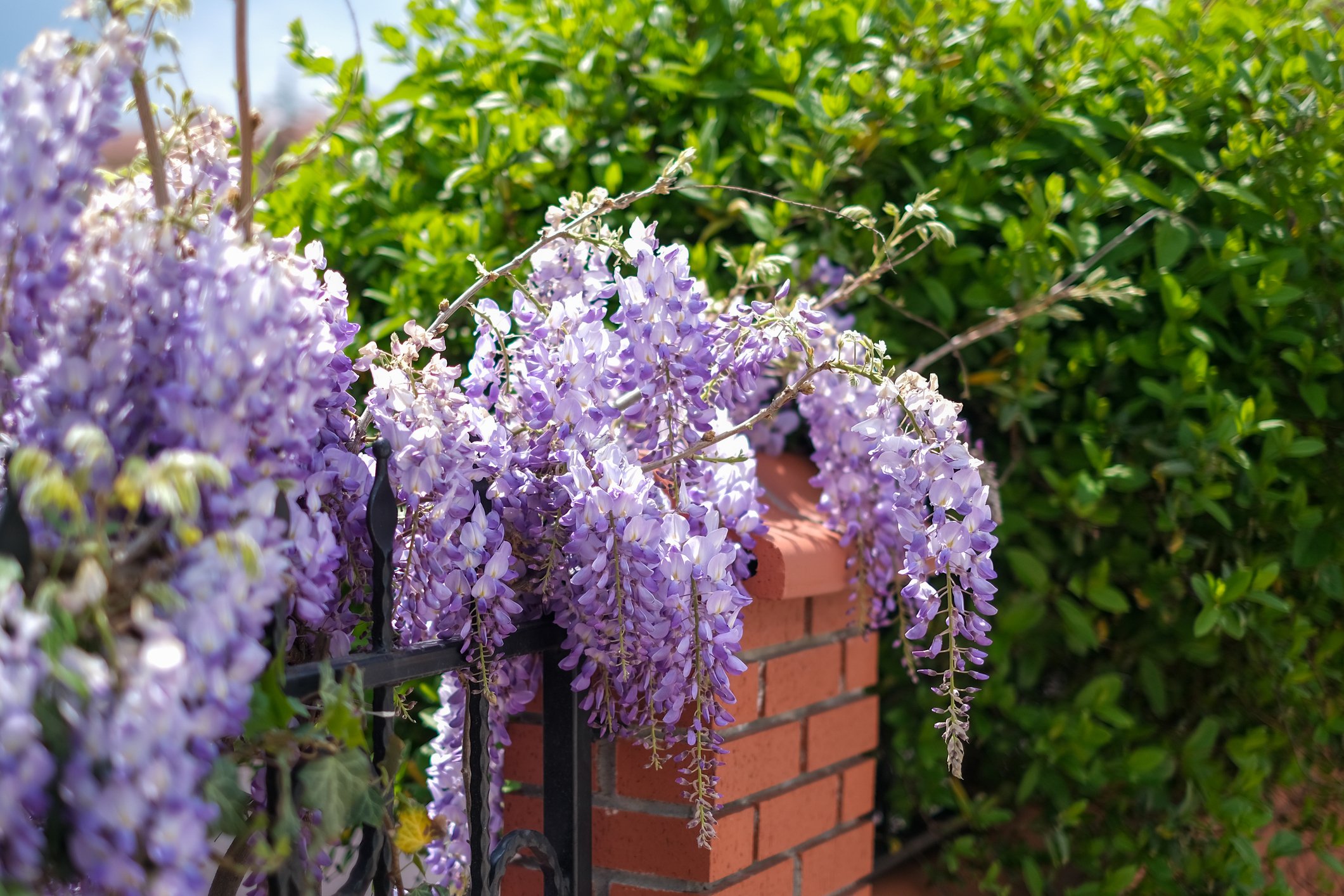 GettyImages-1314071368