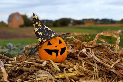 7 Halloween Nature Crafts for the Homestead