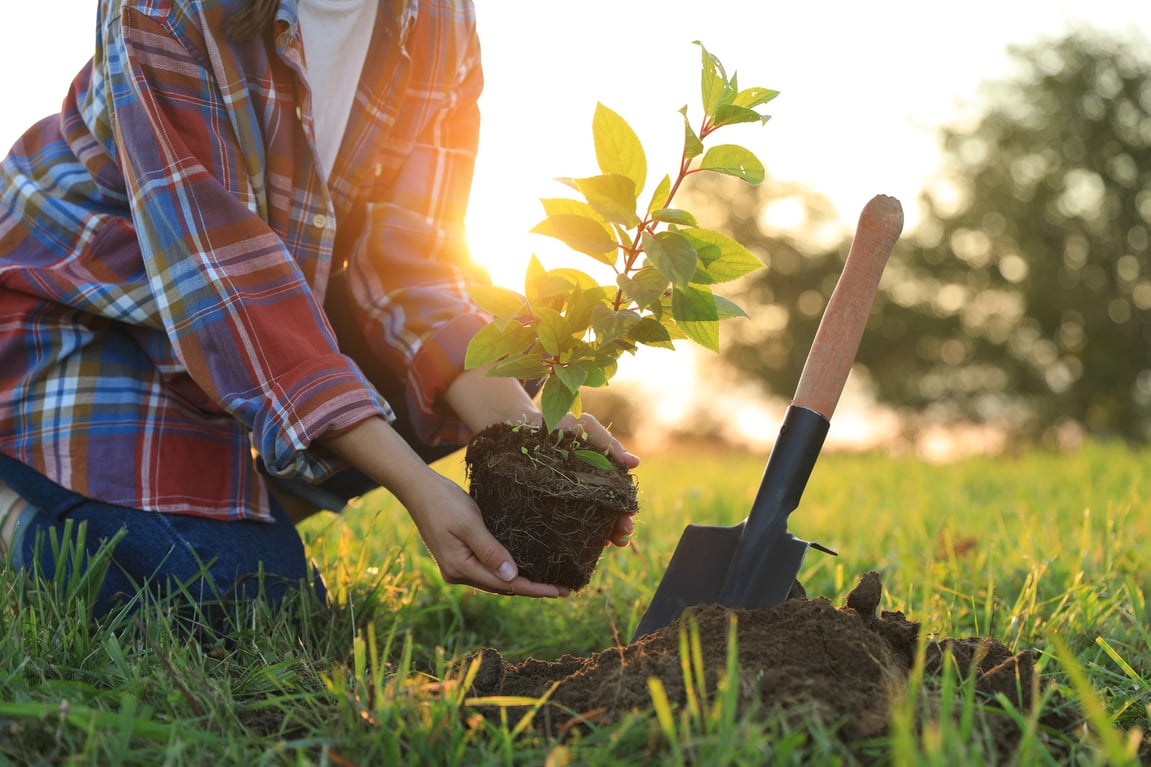 7 Ways Landowners Can Protect Nature & Preserve Biodiversity