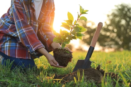 7 Ways Landowners Can Protect Nature & Preserve Biodiversity