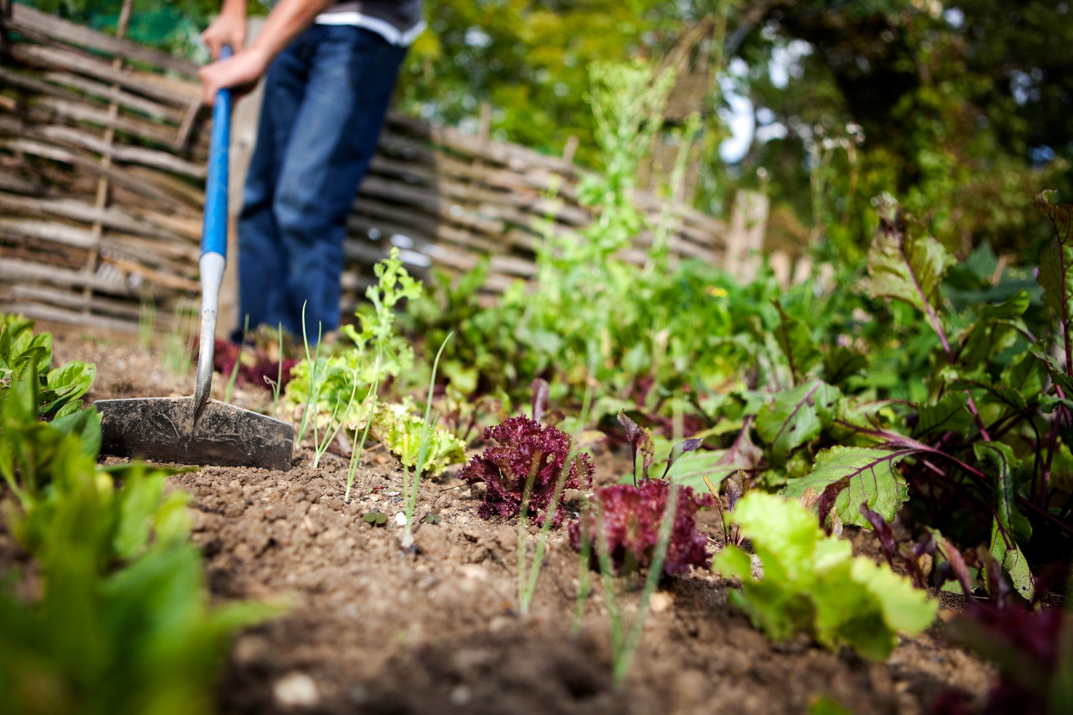 GettyImages-157501844