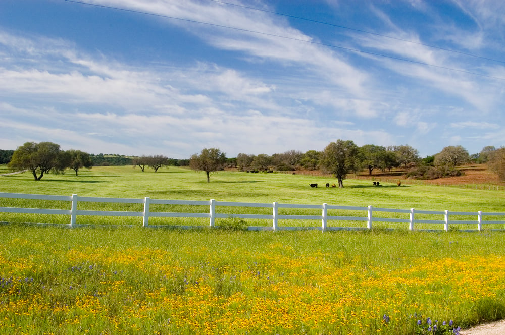 12 things to look for in a homesteading property