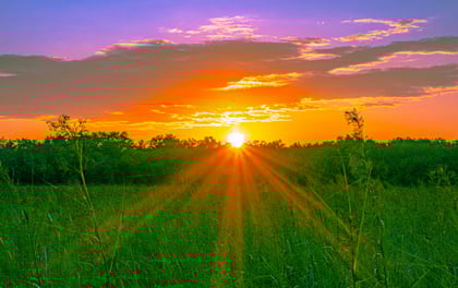 10 Reasons Why Callahan, Florida is a Great Rural Place to Call Home