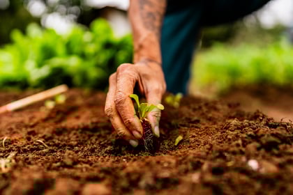 Get Ready To Garden With Our Top Gardening Tips & Resources