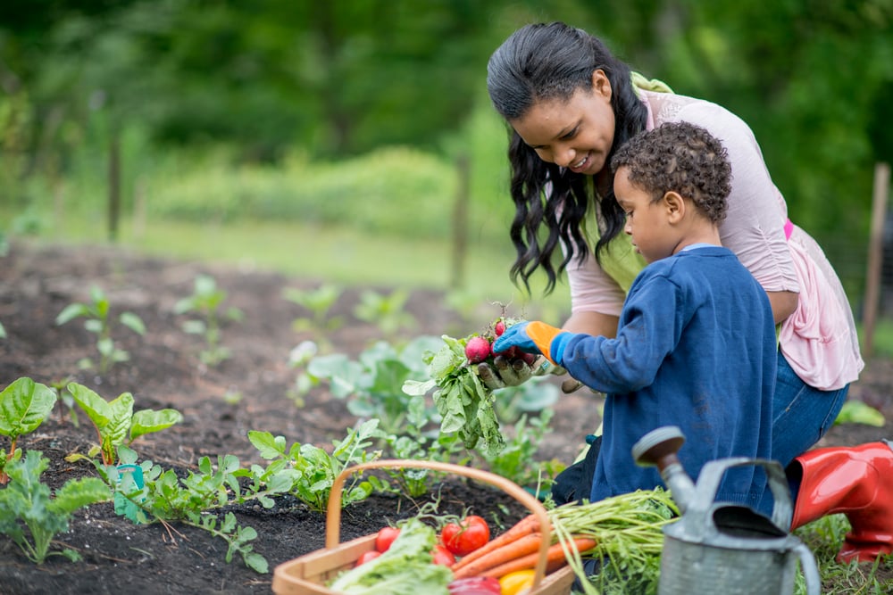 gardening