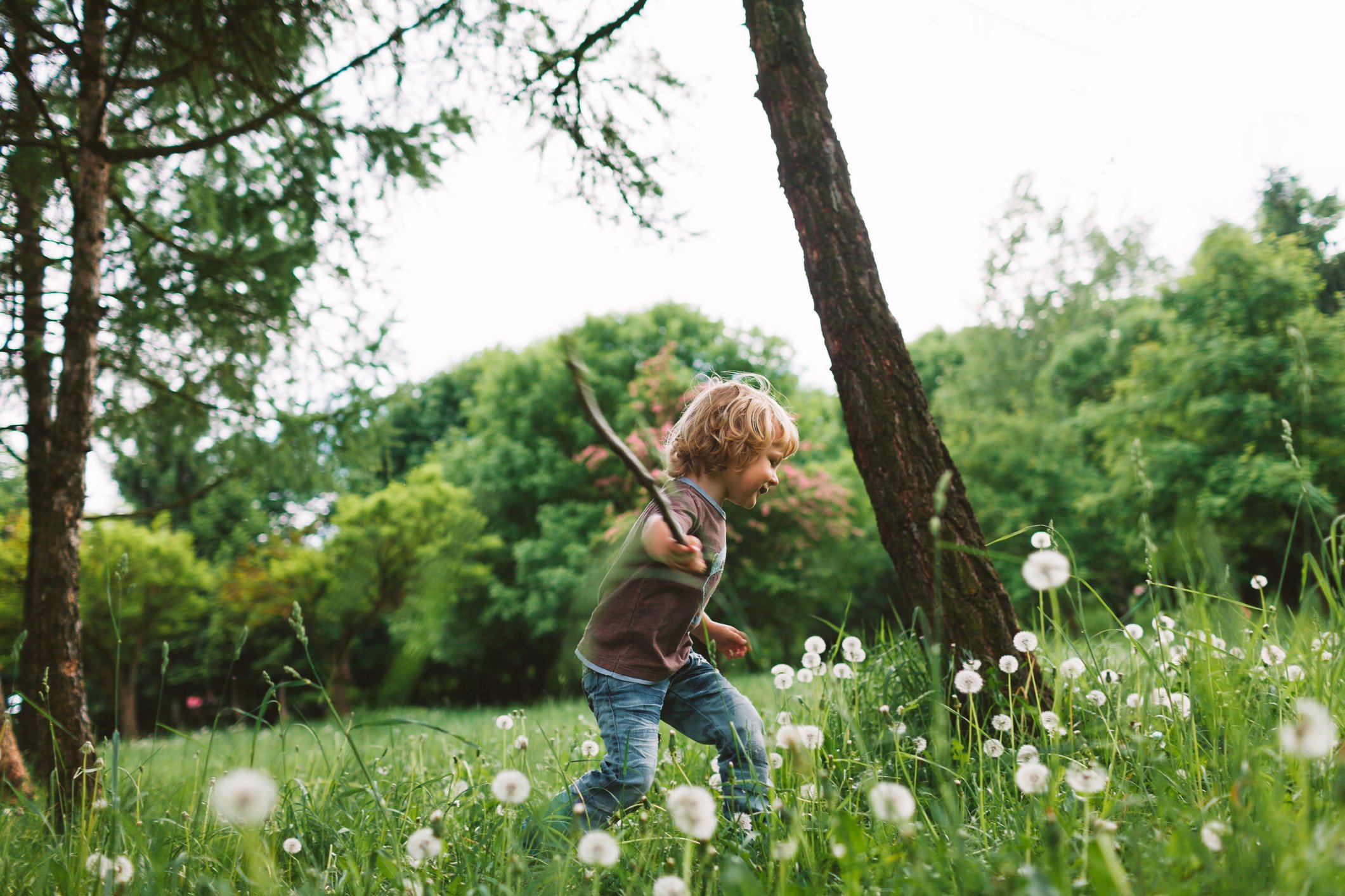 5 podcasts for homeschoolers
