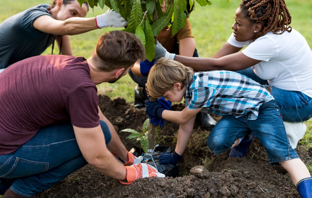 12 things to look for in a homesteading property