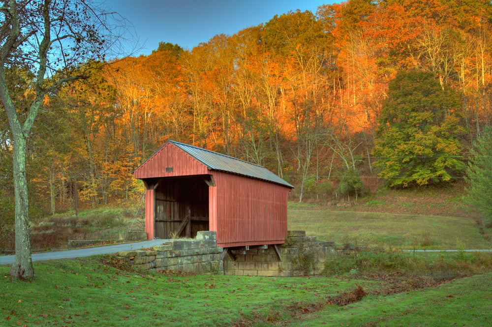 what to look for in a homesteading property