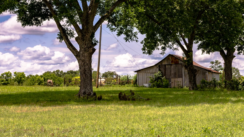 georgia land tax exemptions