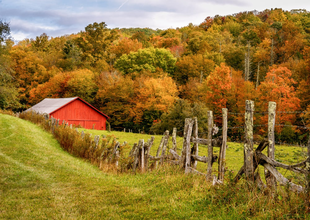 autumn in the south