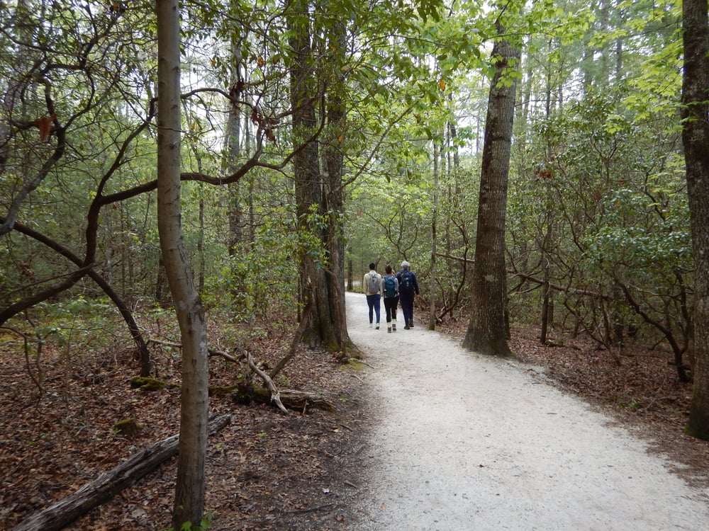 Hikers finding safer ground