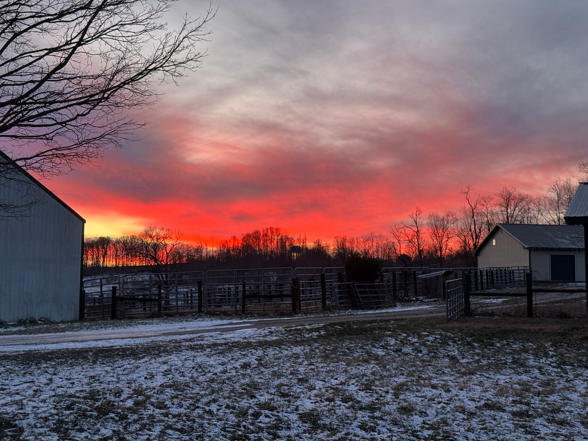 Musings for a New Year on Family, Country Life & What Matters Most