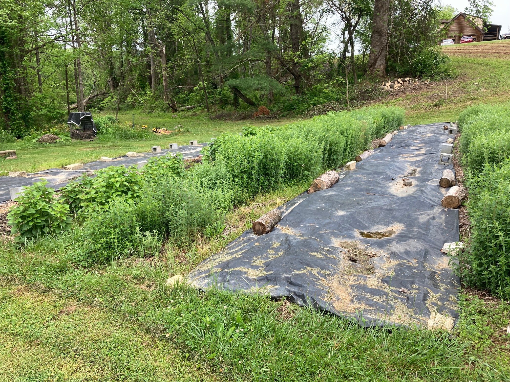 Garden tarping 