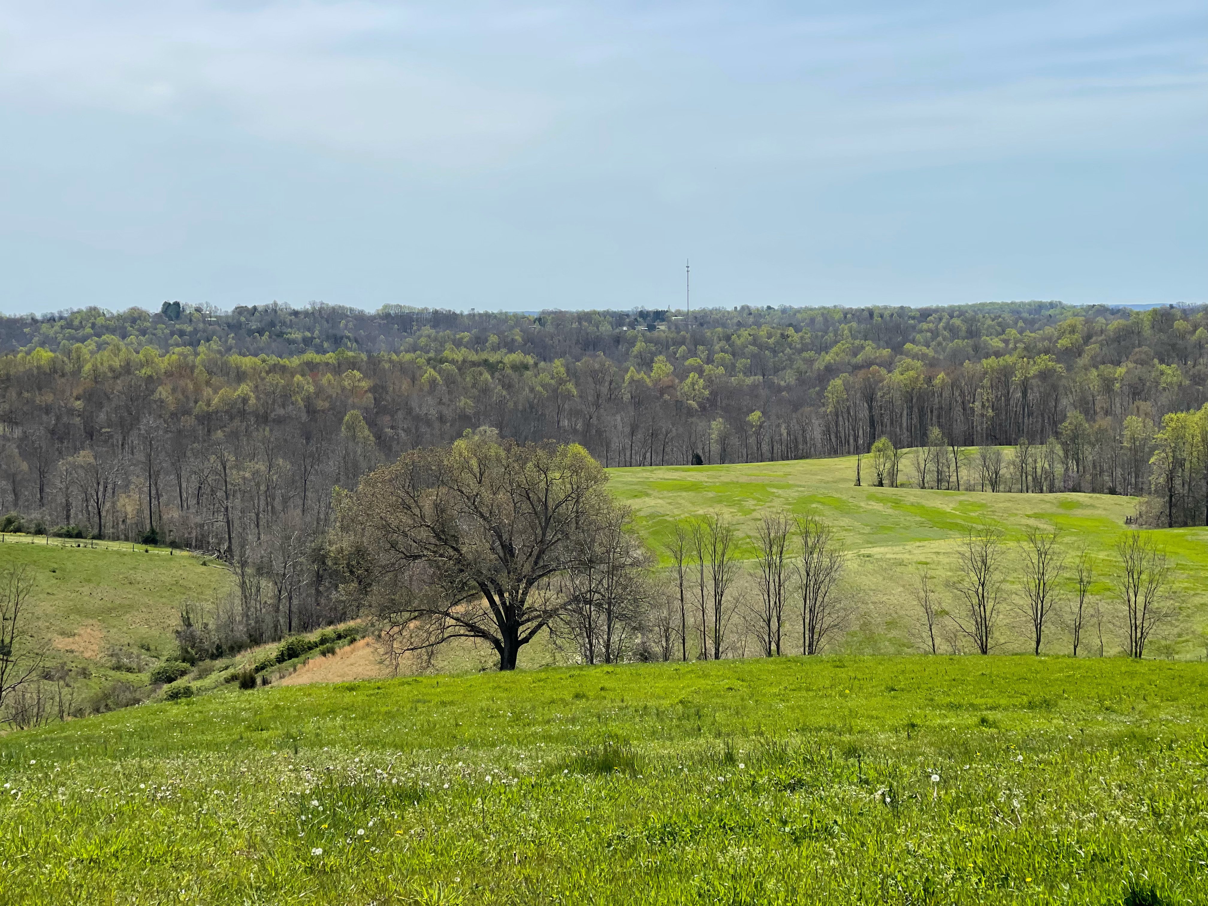 KentuckyHillside_Pond