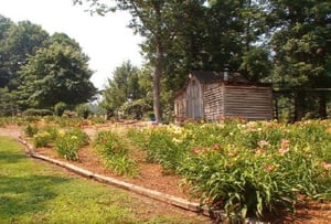 how to start a backyard nursery