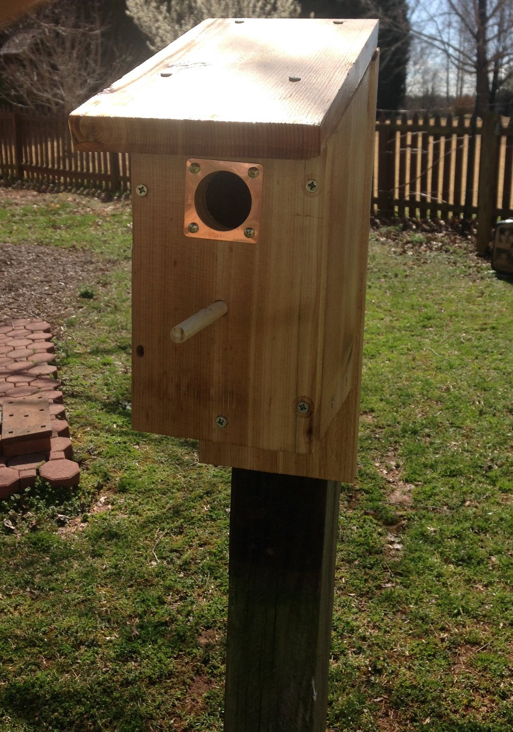 Nest box_scaled